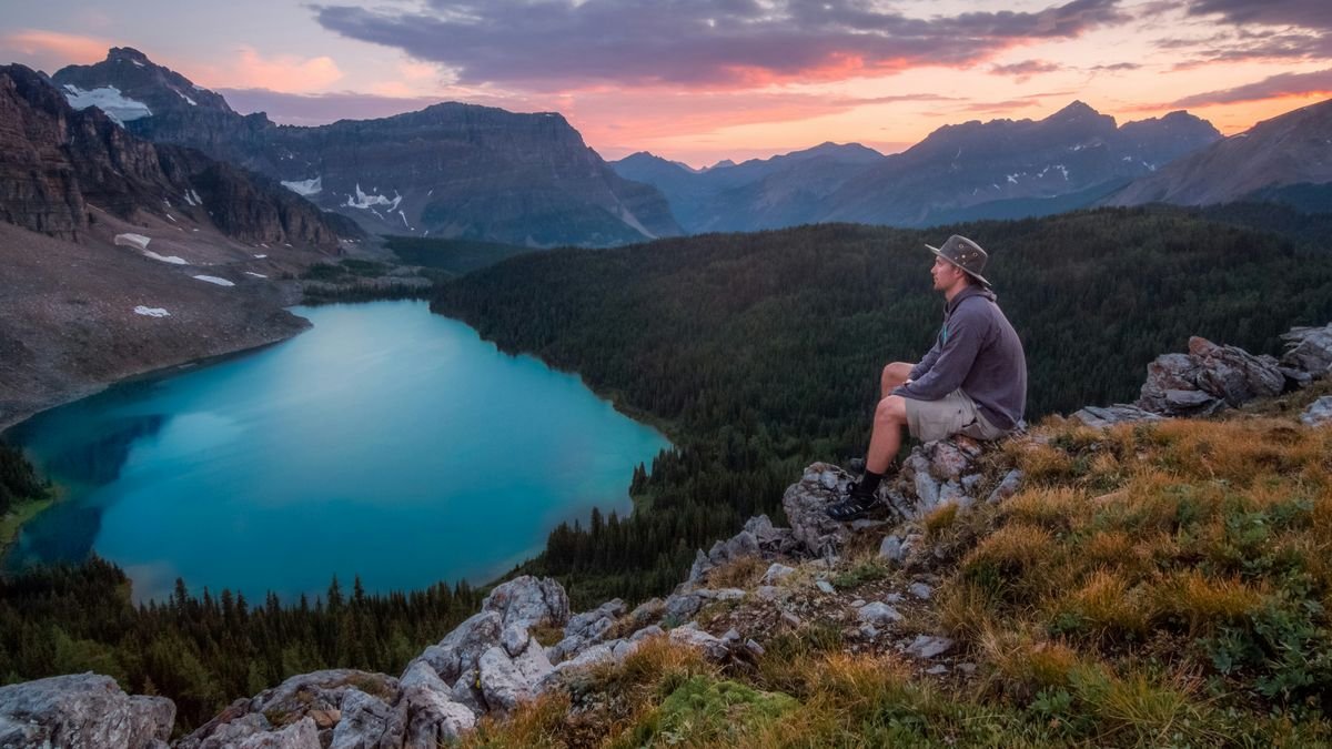 5 Consejos Clave para Elegir los Mejores Bastones de Hiking - Calzado Hiking 3. AONIJIE Bastón de Senderismo Plegables